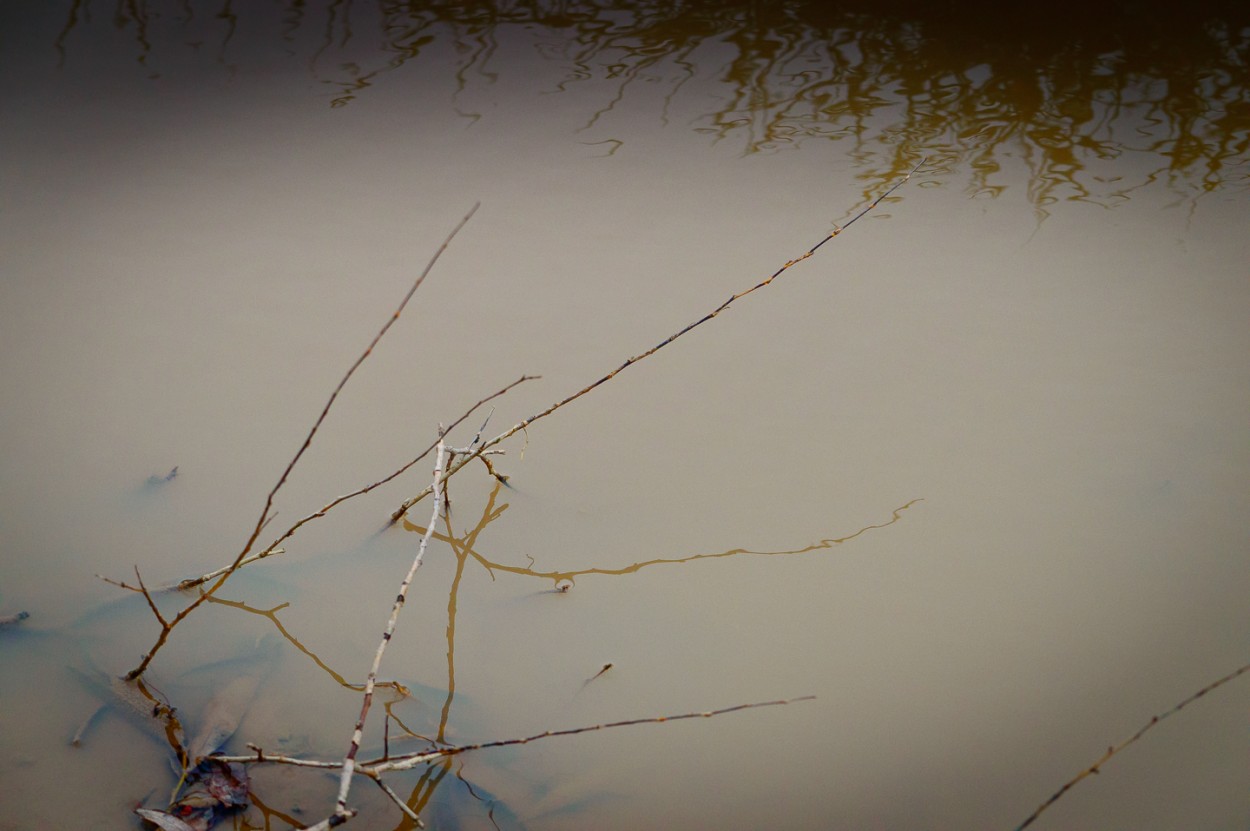 "Detalles de un charco" de Fernando Valdez Vazquez