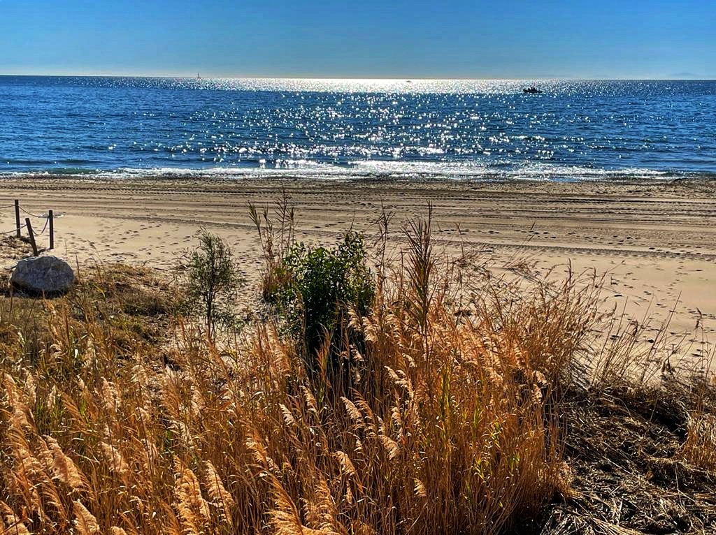 "Dunas de invierno" de Carmen Estevez