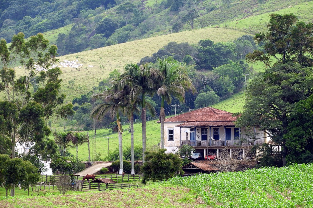 "O passado no reconhece o seu lugar:........." de Decio Badari