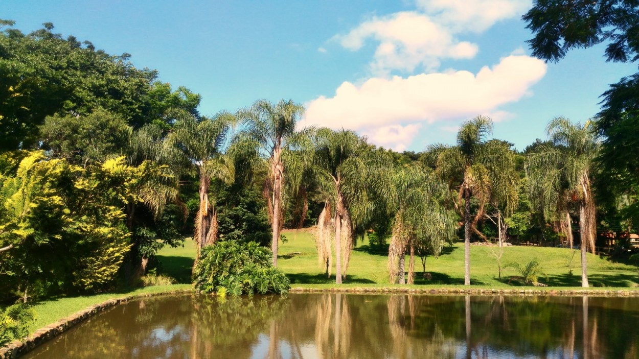 "Manh na chacara, ar puro na Natureza !" de Decio Badari