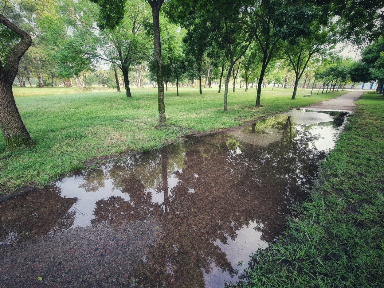 "Camino inundado" de Fernando Valdez Vazquez