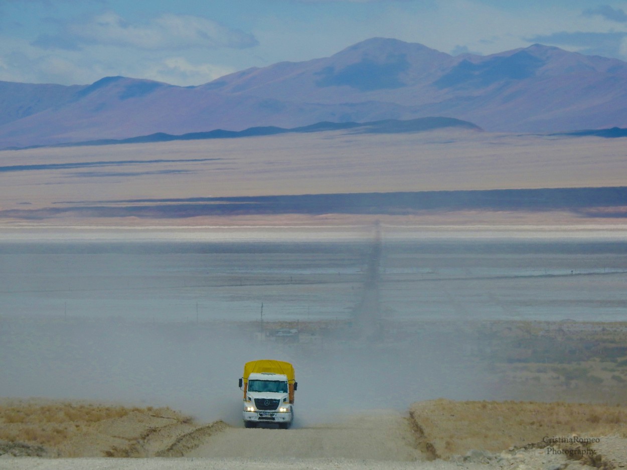 "Caminos desiertos." de Cristina Amalia Romeo