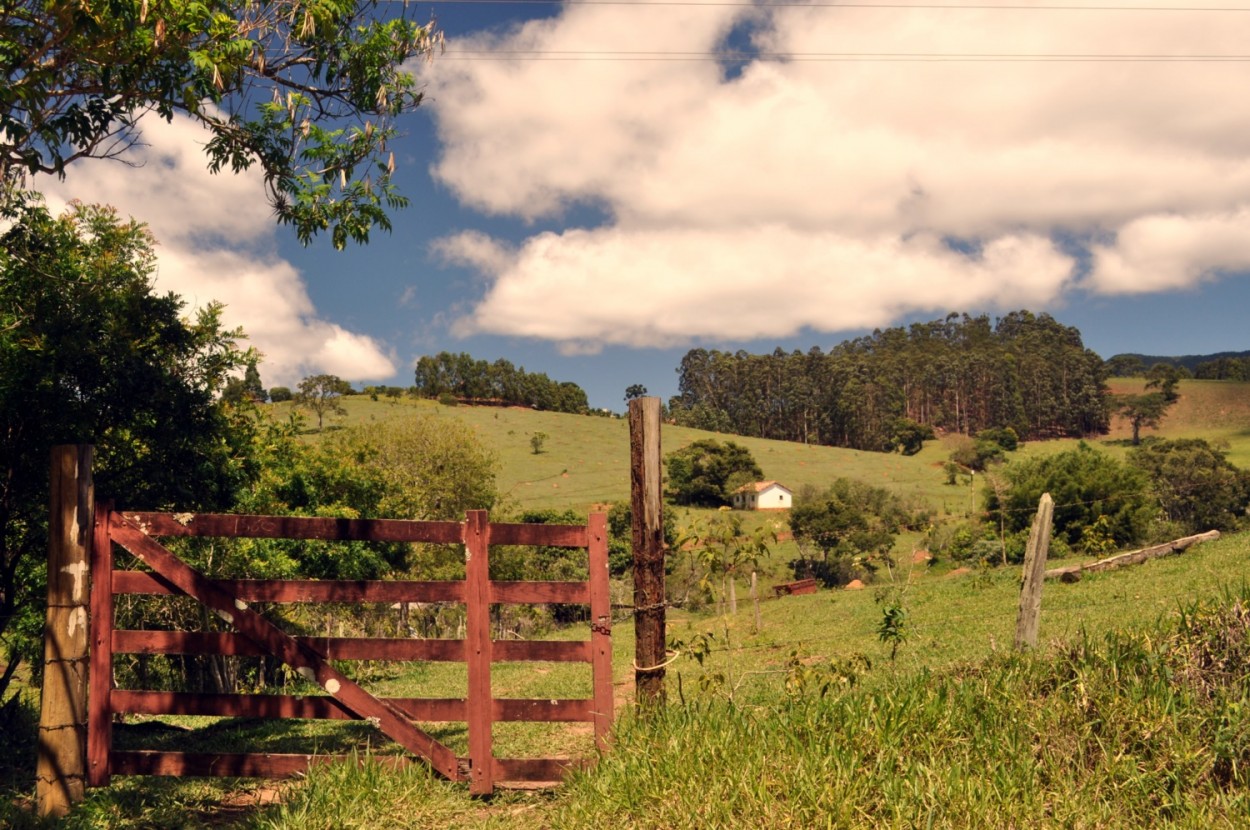 "A zona rural esquecida e abandonada !" de Decio Badari