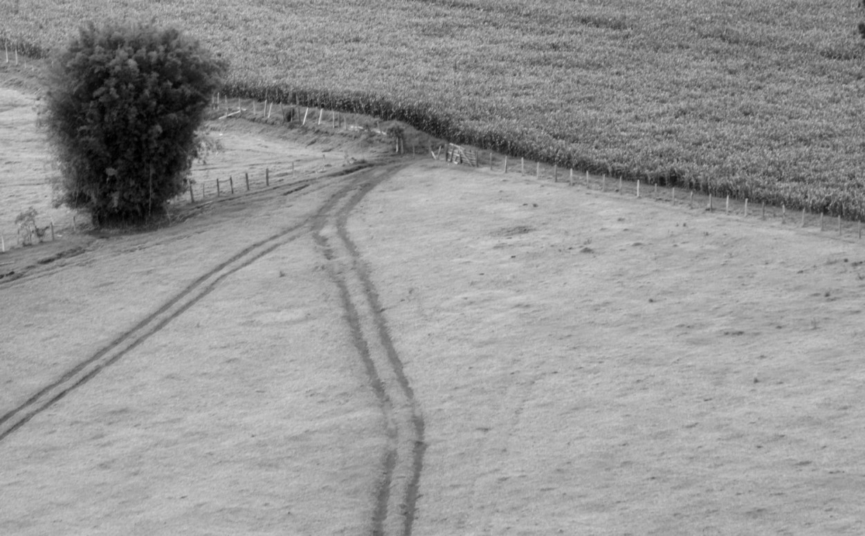 "Linhas, formas e texturas." de Decio Badari