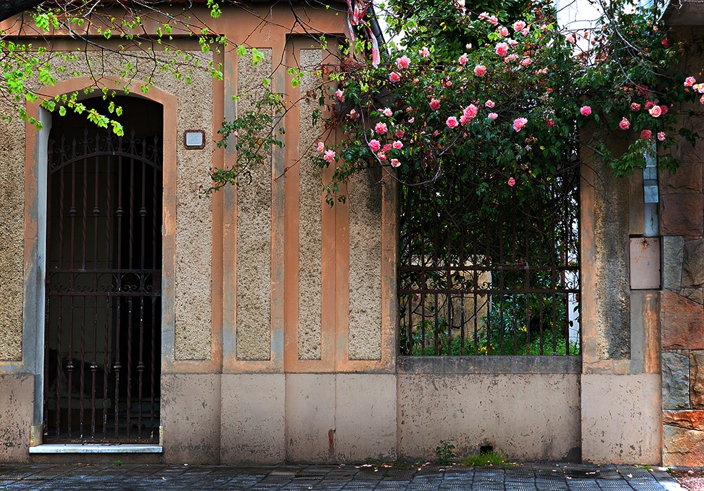 "La casa de las flores" de Fernando Valdez Vazquez