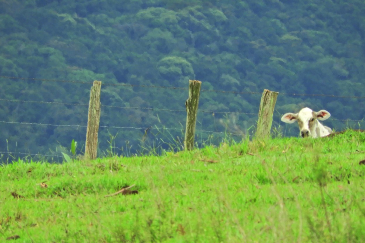 "Uma troca de olhares, indo para a serra!" de Decio Badari