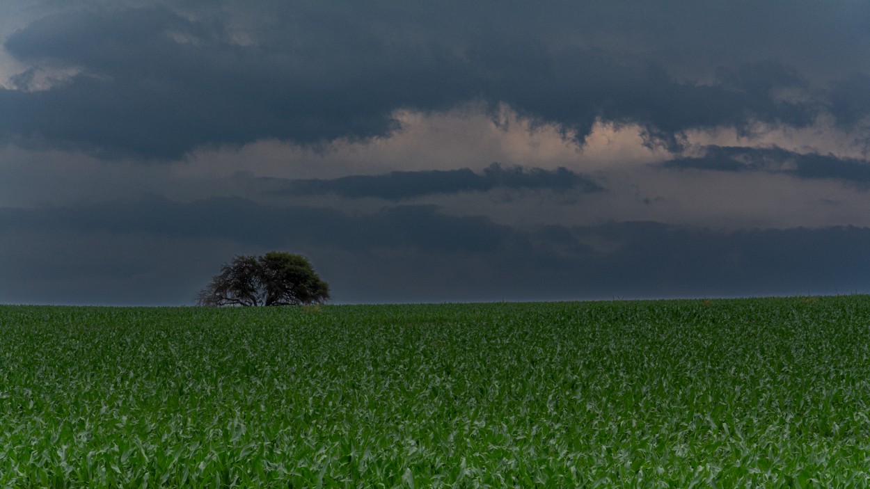 "Solo, entre el cielo y la tierra." de Marcelo Perez