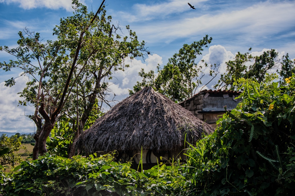 "casitas de campo" de Victor Alejandro Sanchez Bermudez