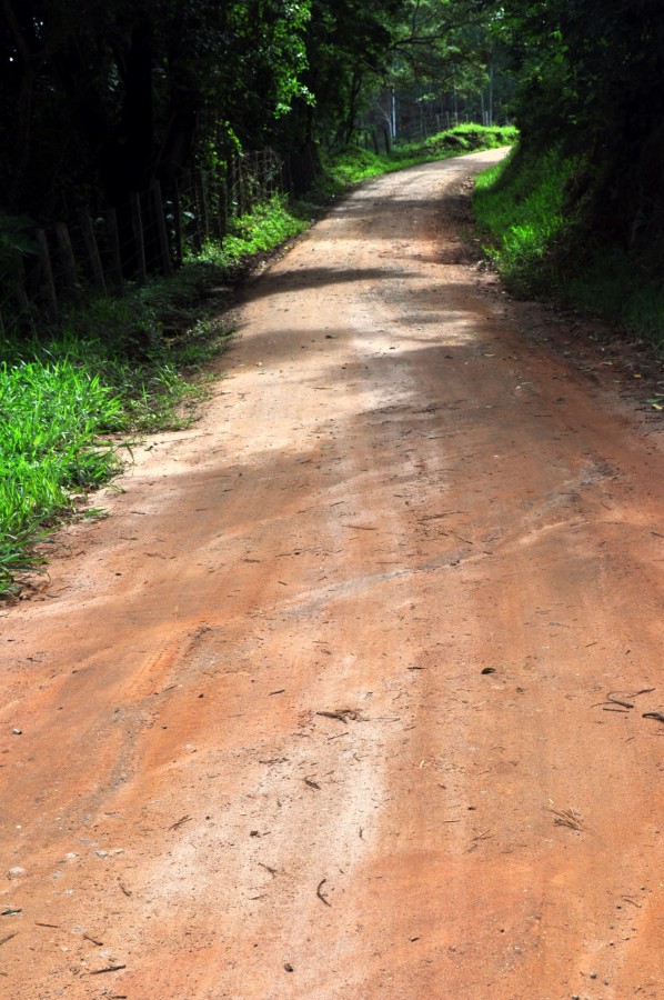 "No tenho um caminho novo. O que eu tenho de ....." de Decio Badari