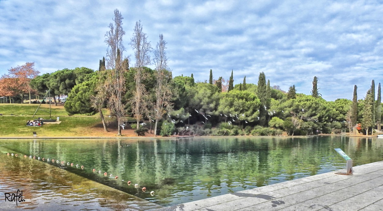 "Parque de Catalunya. (Sabadell. Catalunya)" de Rafael Serrano Arguedas