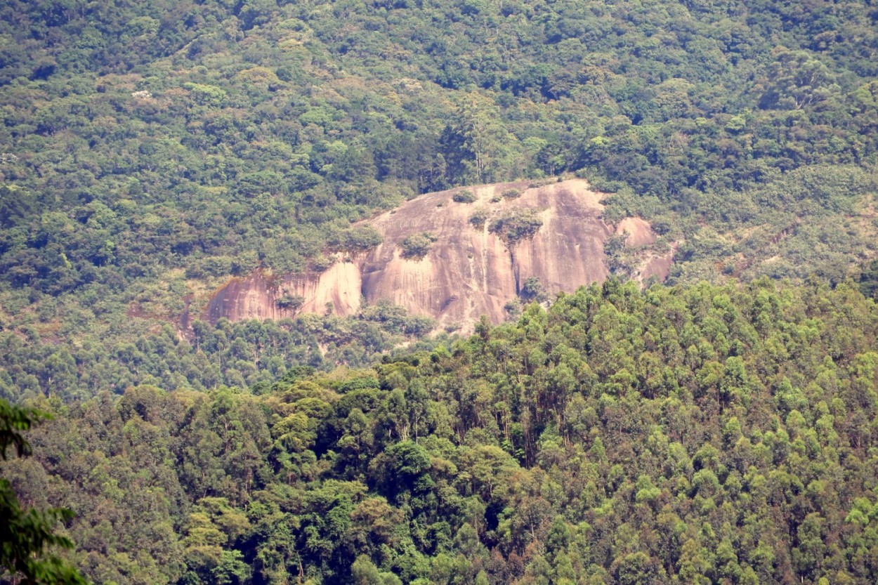 "Olhe profundamente a natureza, e ento voc......" de Decio Badari