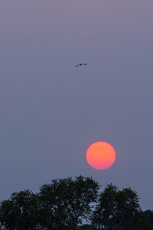 "Atardecer de fuego" de Gabriela Burghi