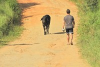 Em minha caminhada nesta agradvel manh