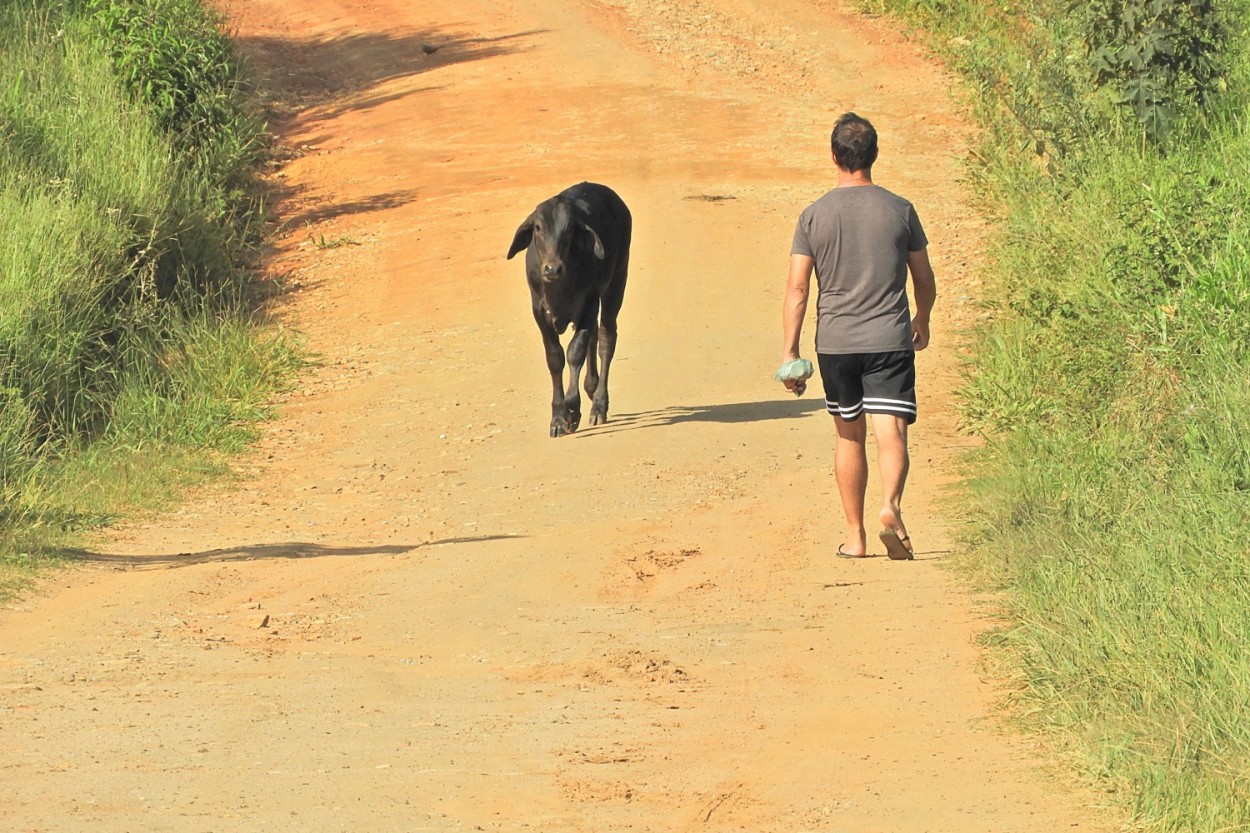 "Em minha caminhada nesta agradvel manh" de Decio Badari