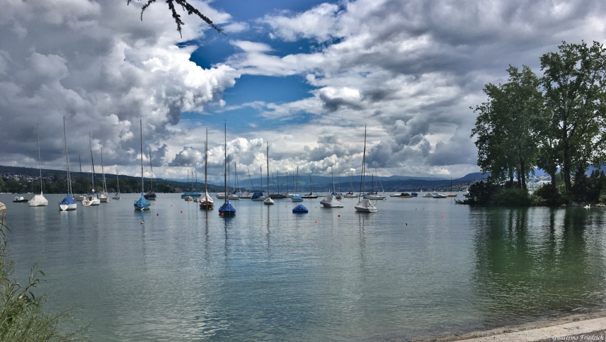 "Lago de Zurich" de Guillermo Friedrich