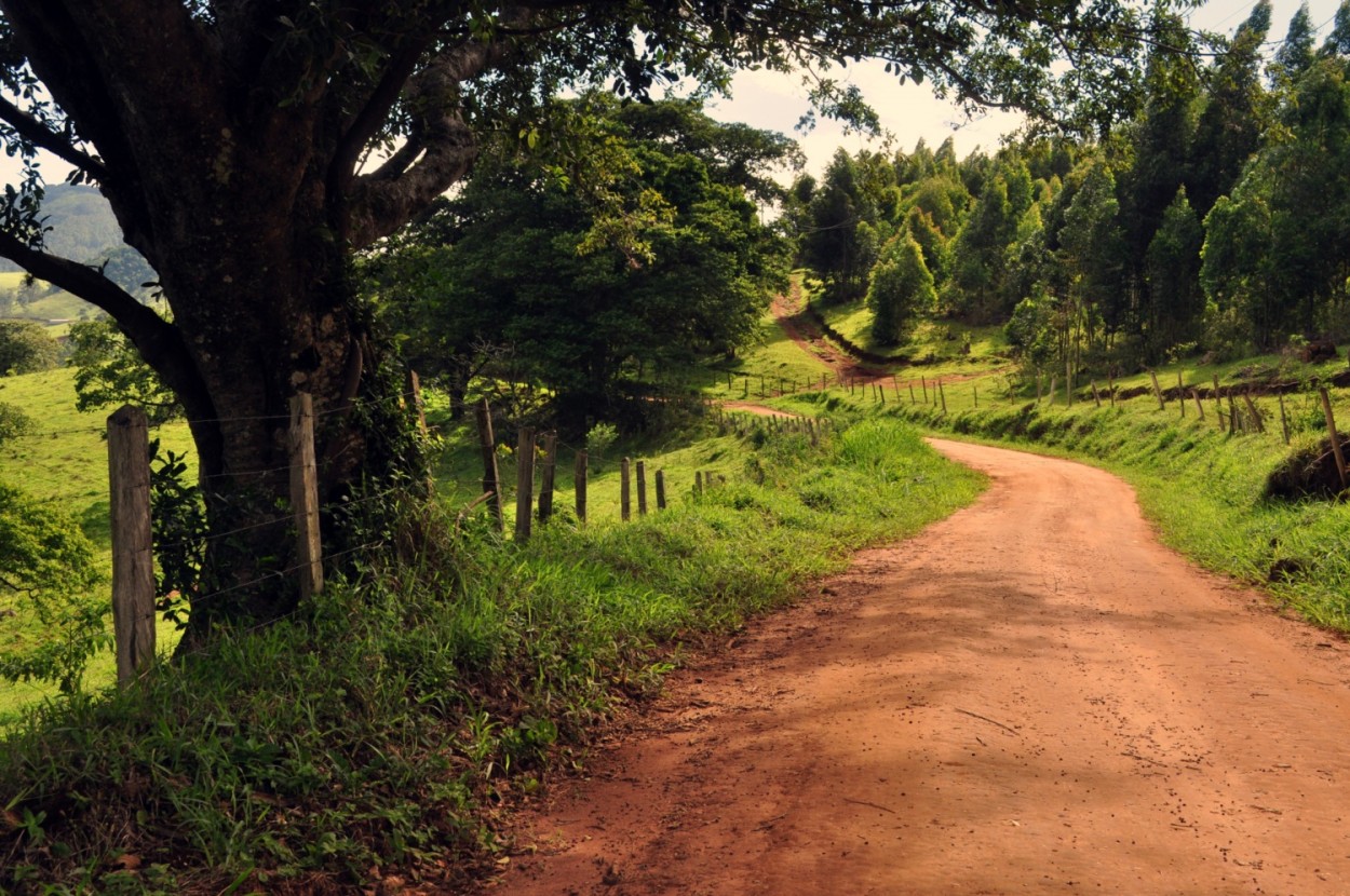 "Um passeio matinal  uma bno para todo o dia..." de Decio Badari