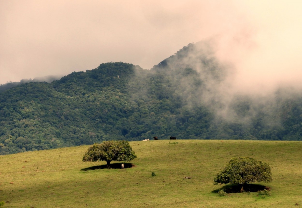 "Permita que a Natureza lhe ensine a quietude !" de Decio Badari