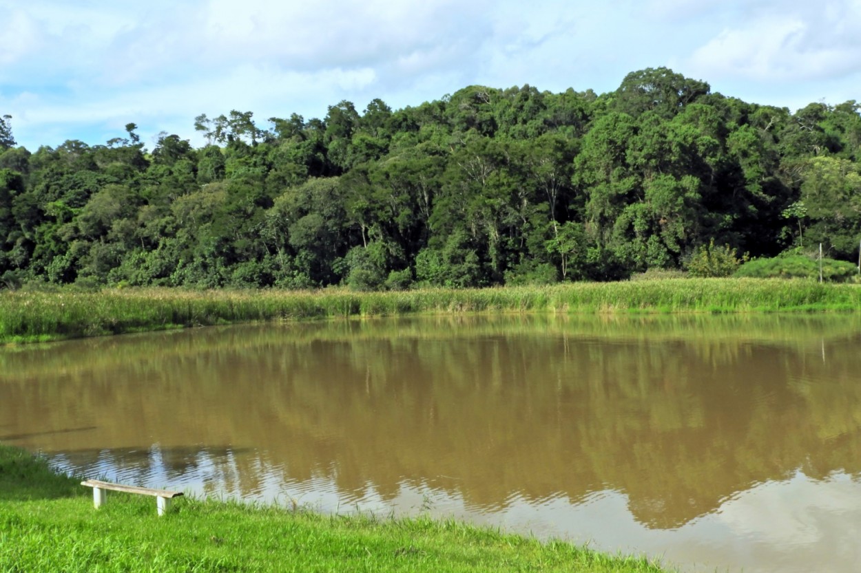 "Permita que a natureza lhe ensine a quietude." de Decio Badari