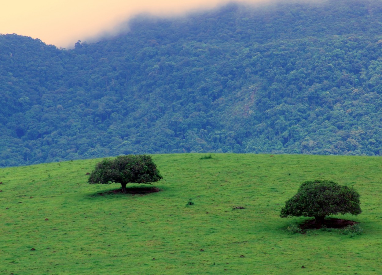 "Ao longe, a Serra da Mantiqueira, encoberta" de Decio Badari