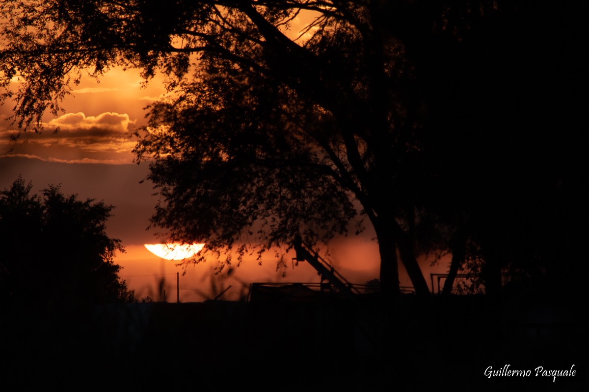 "Atardecer de campo" de Guillermo Daniel Pasquale