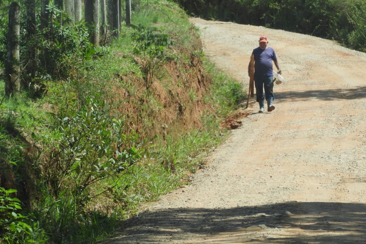 "Nas lidas do campo, mais um dia se inicia !" de Decio Badari