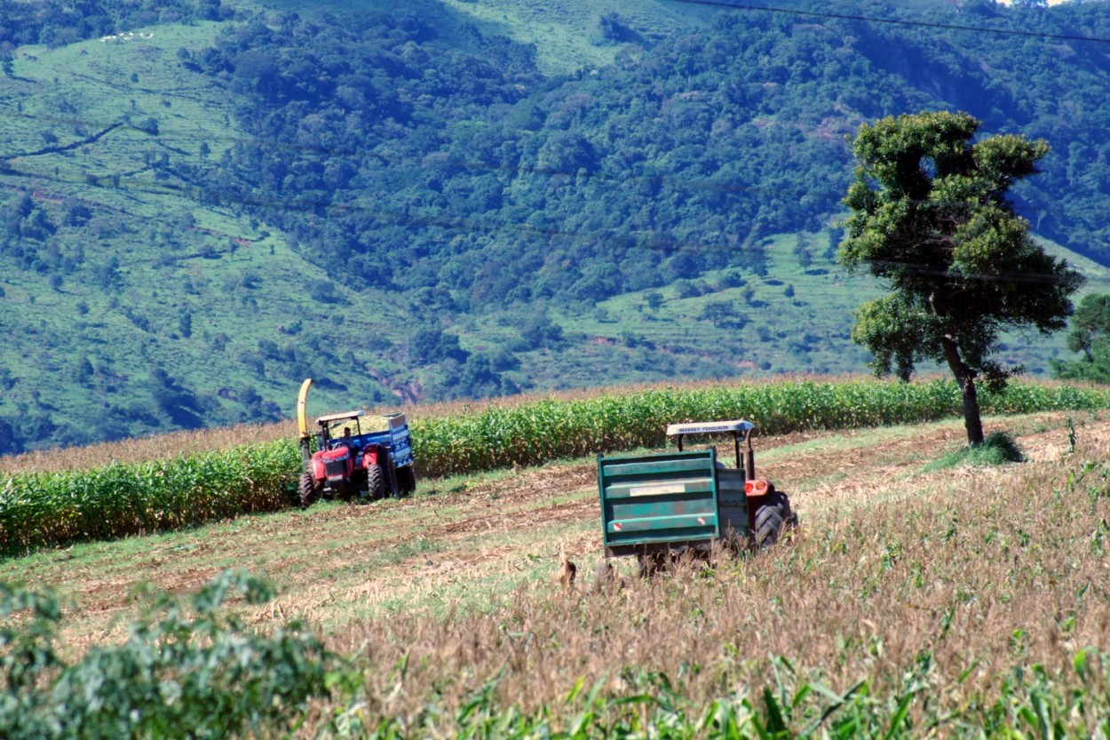 "Preparativos para a chegada do Inverno !" de Decio Badari