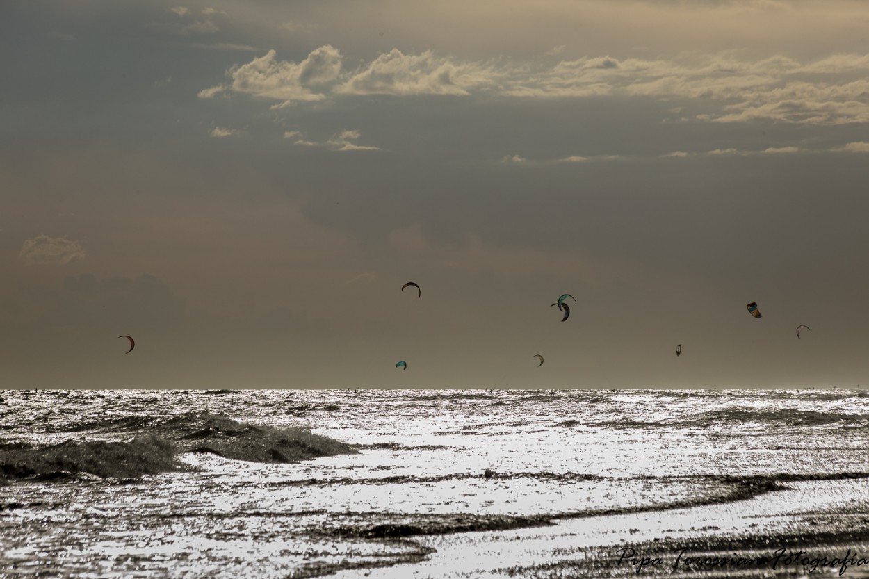 "Como pajaros en el aire" de Francisco Andres Torossian