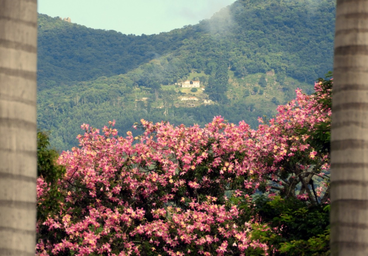 "Da fazenda para o alto da serra, primeiro olhar." de Decio Badari