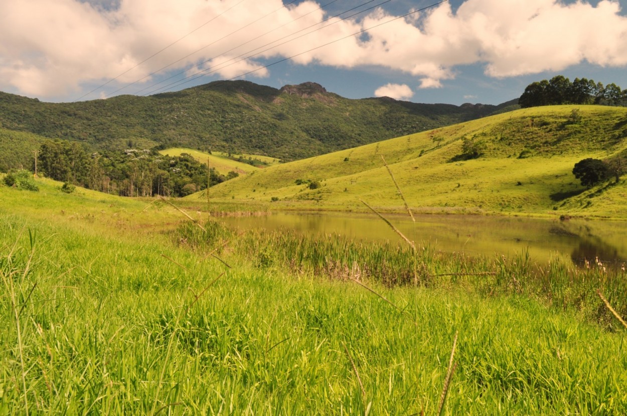 "Entre planos e cores, a rica Me Natureza !" de Decio Badari