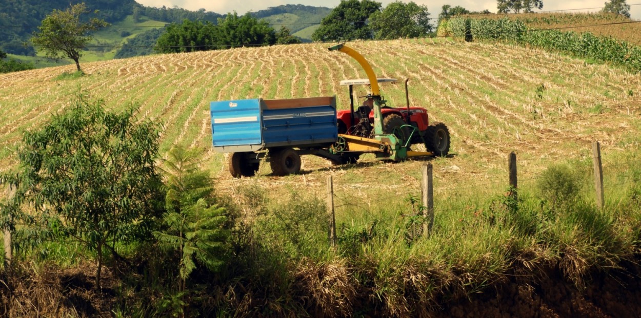 "Amanhecer no campo, inicio dos trabalhos !" de Decio Badari