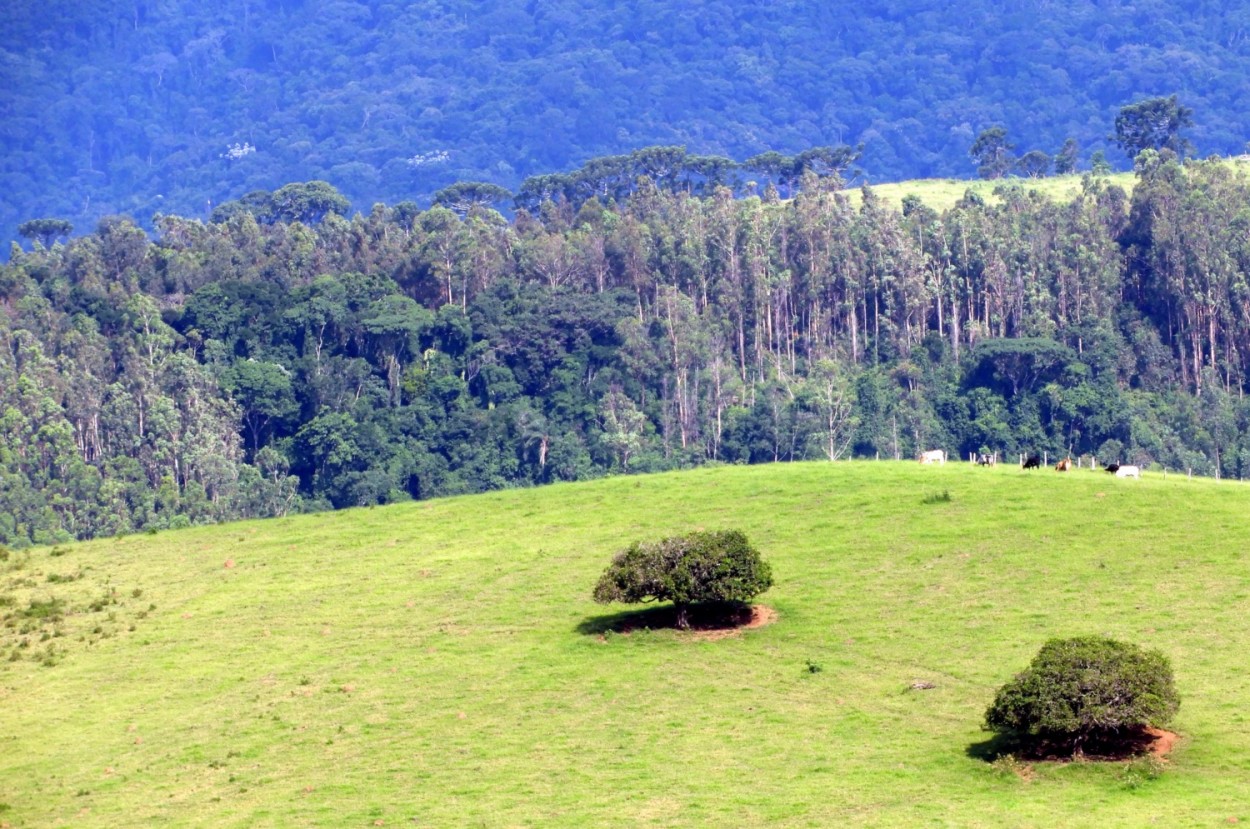 "Um olhar entre planos, formas e cores." de Decio Badari