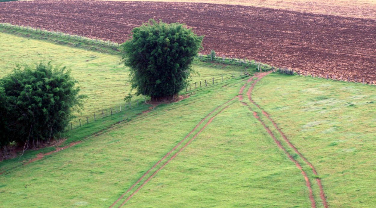 "Entre caminhos e texturas o olhar da tarde." de Decio Badari