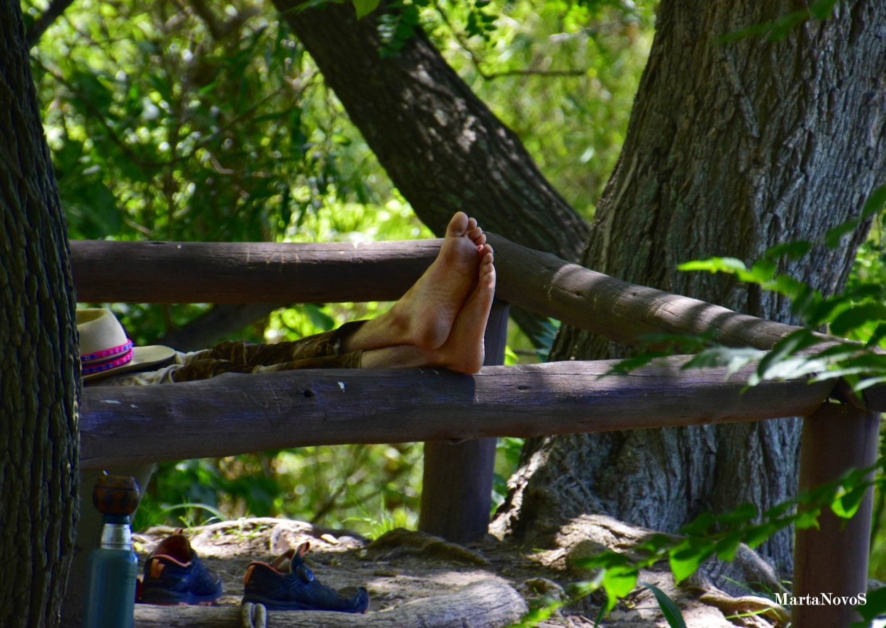 "Descanso sereno en la naturaleza" de Marta Camarotti Salinas