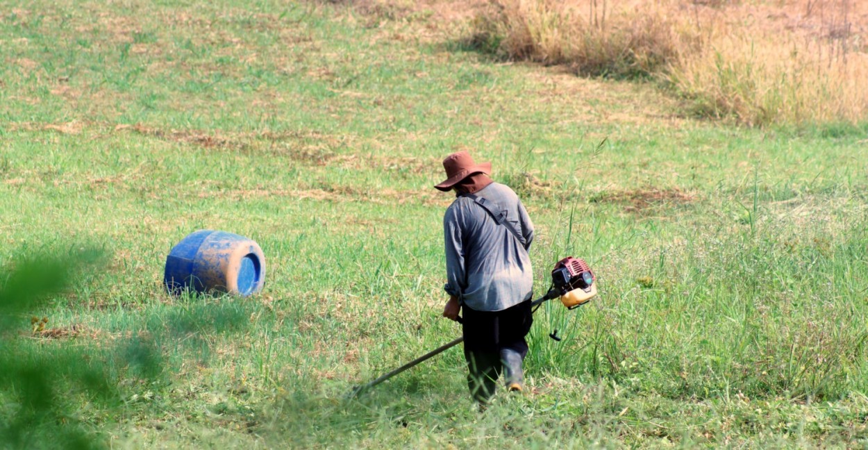 "As lidas do campo, assim  o dia a dia do lavrador" de Decio Badari