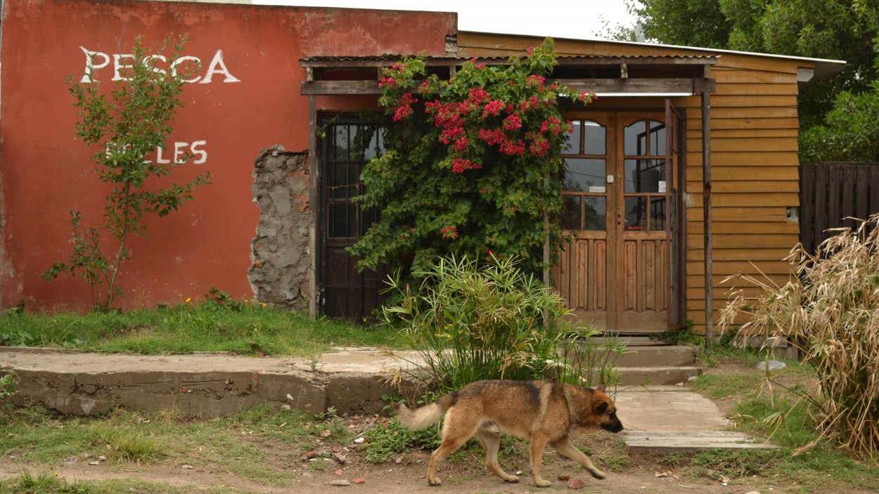 "Casa de pesca" de Patricio Coradini