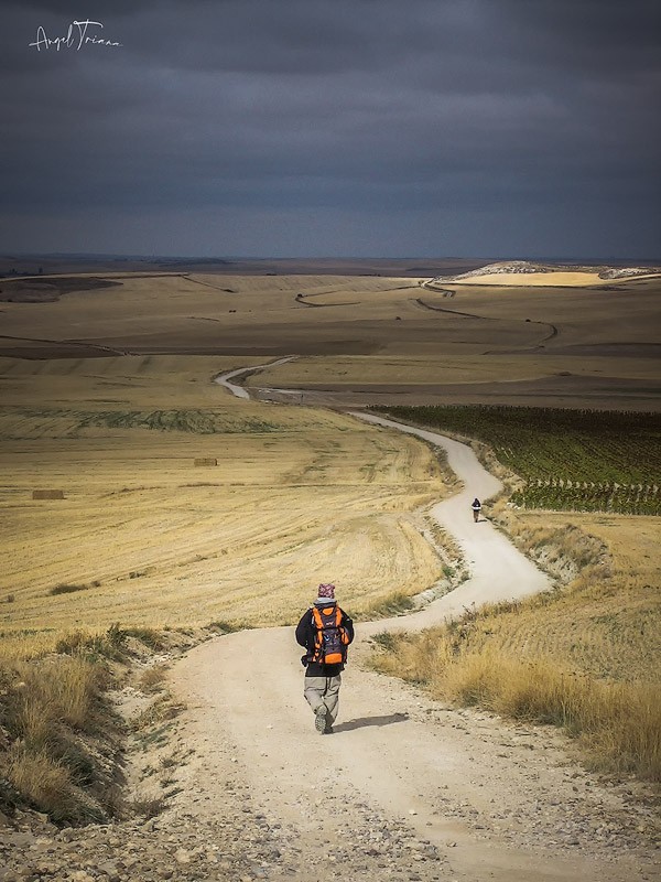 "Caminando a Santiago" de Angel Triana