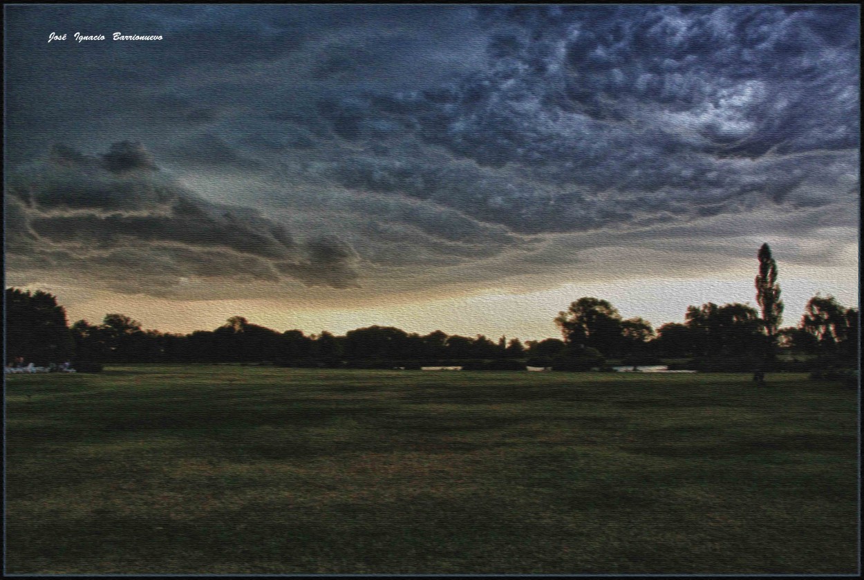 "Tapiz campestre en la tormenta" de Jos Ignacio Barrionuevo