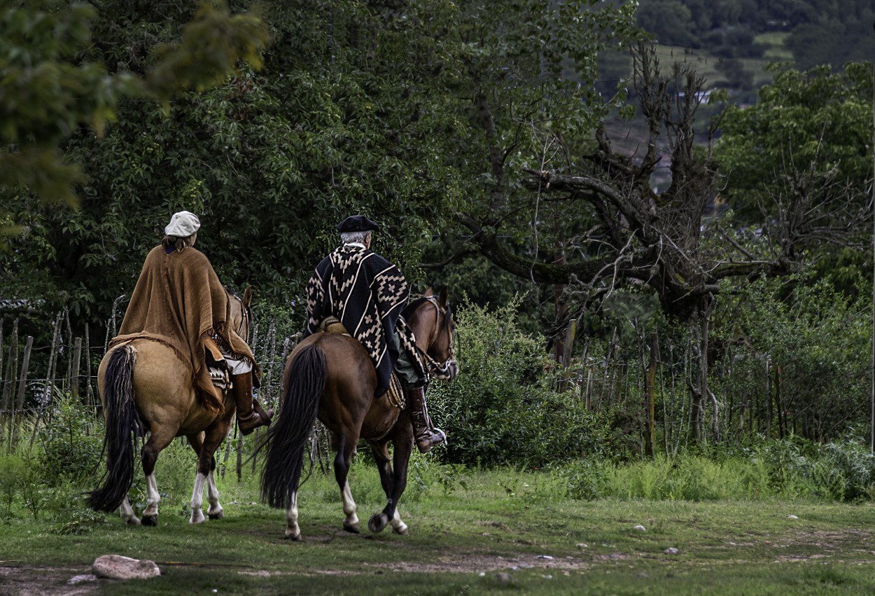 "Regreso gaucho" de Carlos Cavalieri