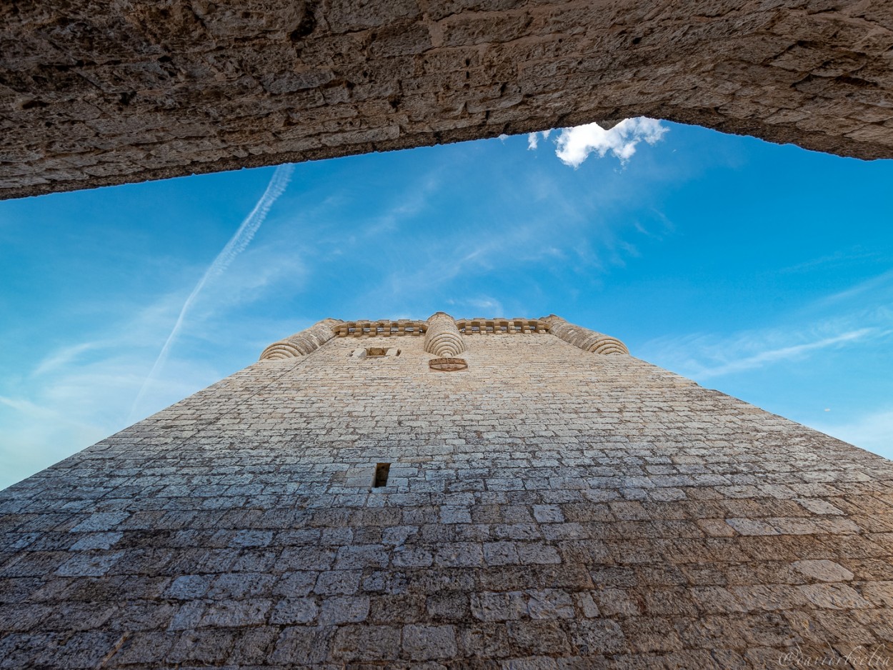 "Castillo de Peafiel" de David Roldn