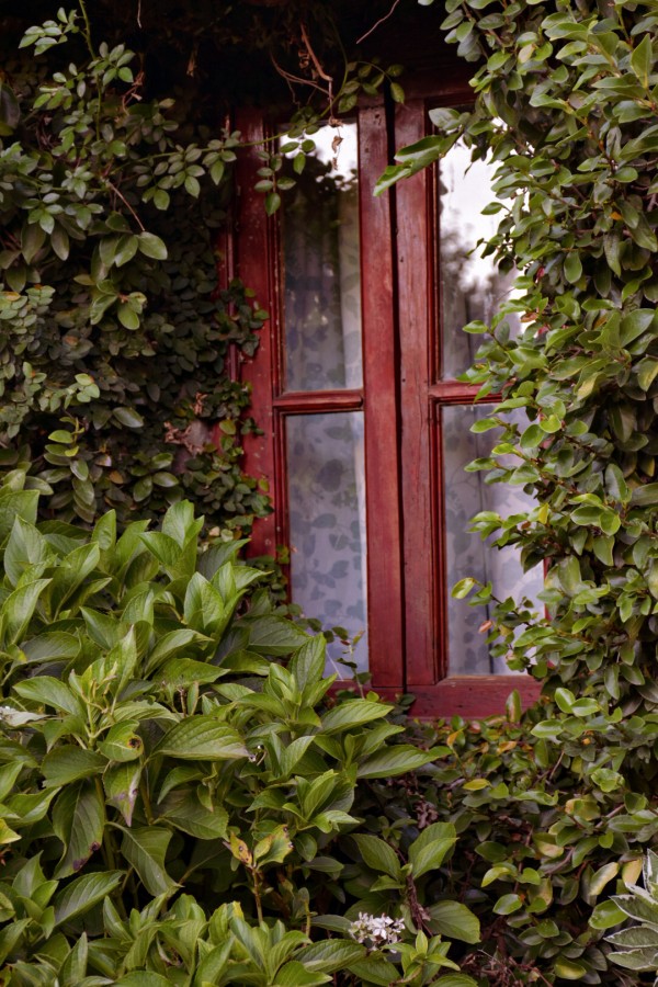 "Ventana" de Silvana Magali Frank