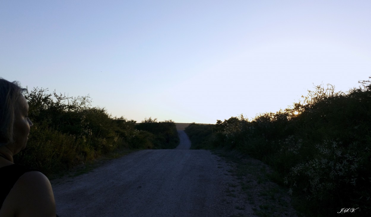 "Caminata matutina" de Jorge Vargas