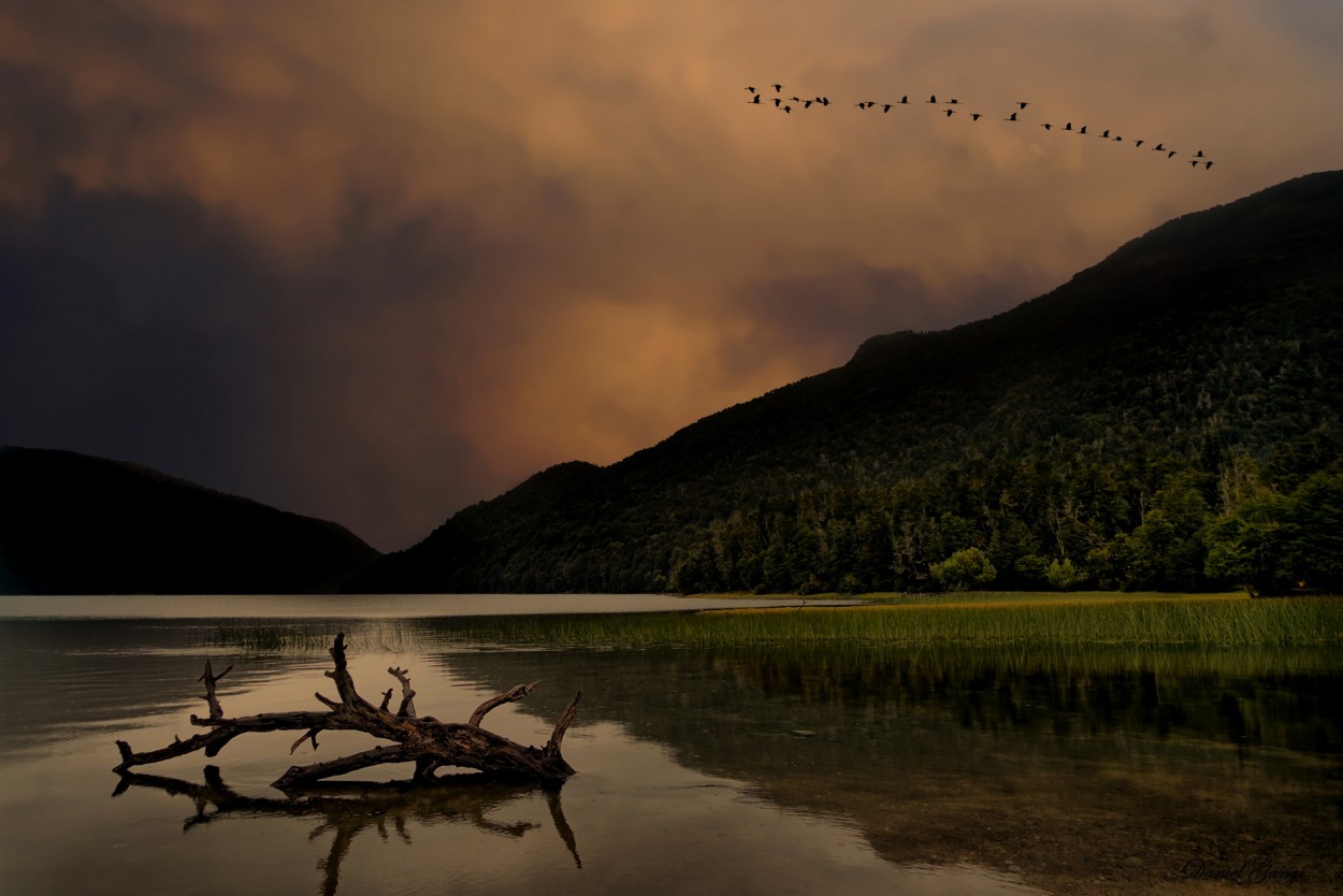 "Quietud y calma..." de Alberto Daniel Gangi