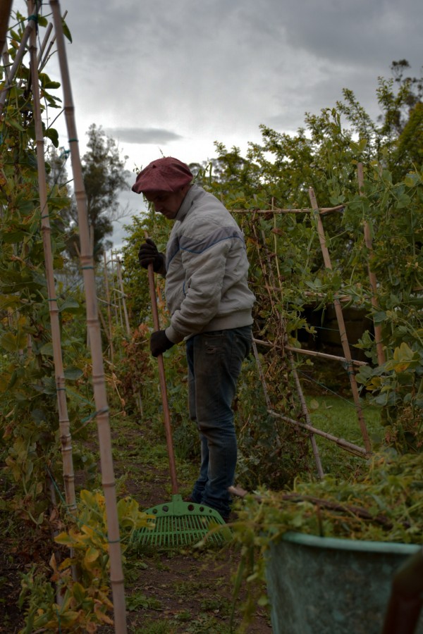 "Trabajando en la huerta" de Silvana Magali Frank