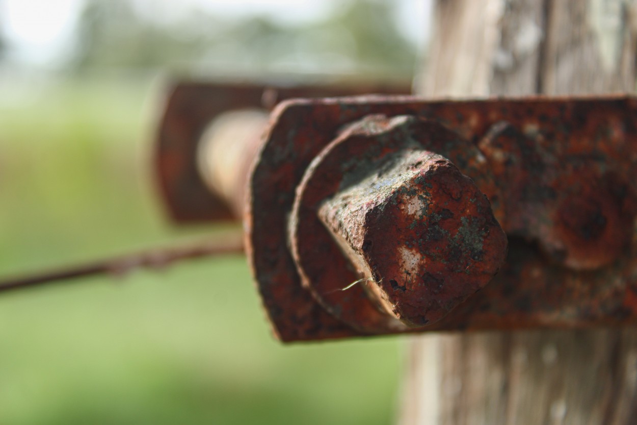 "Detalles oxidados" de Patricio Abel Vera