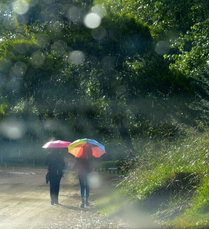 "Lluvia se verano" de Ana Rosalia Scott