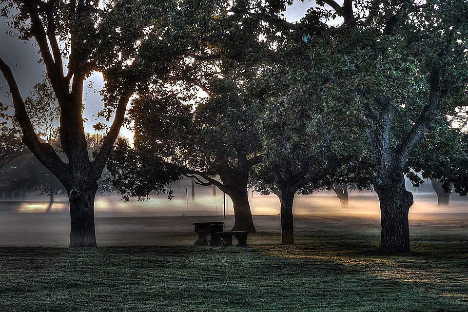 "Parque Castelli IV, La Plata." de Kile Zabala