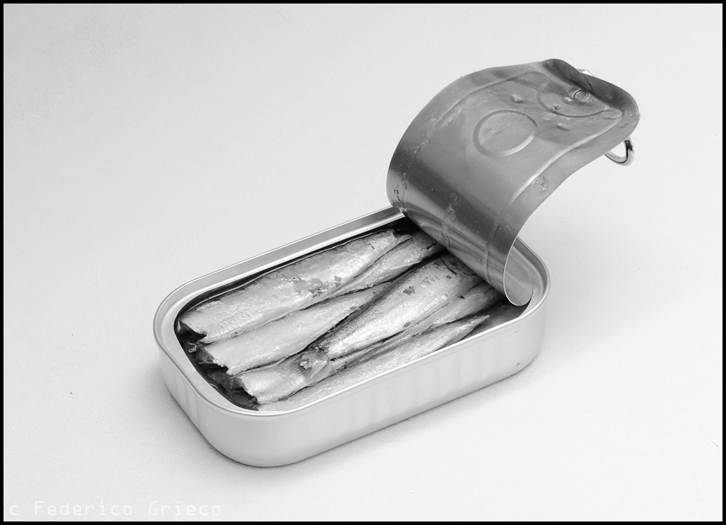 "Sardinas" de Federico Grieco