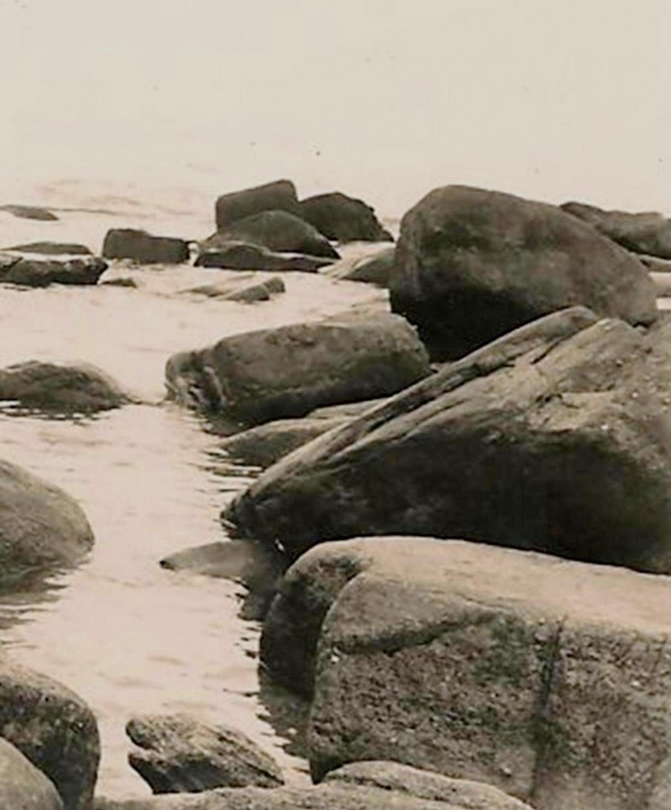 "rentre las rocas" de Beatriz Di Marzio