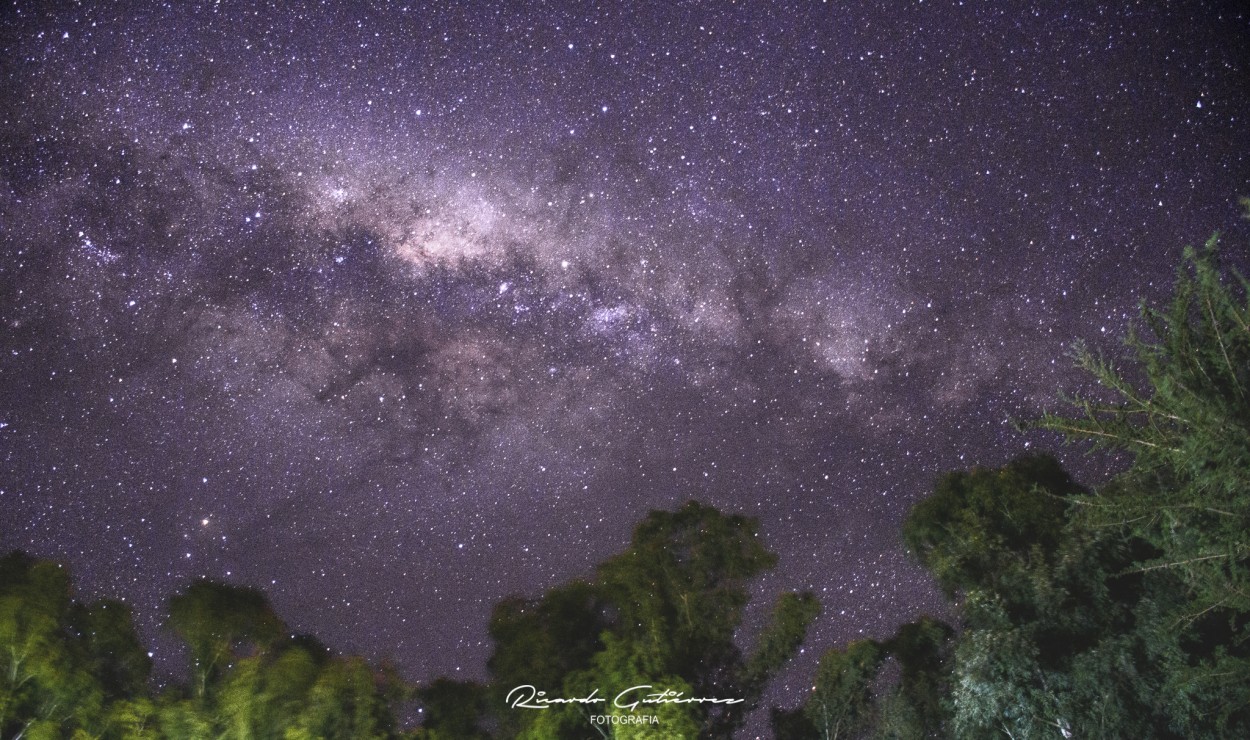 "Va Lactea en Gardey" de Ricardo Gutirrez