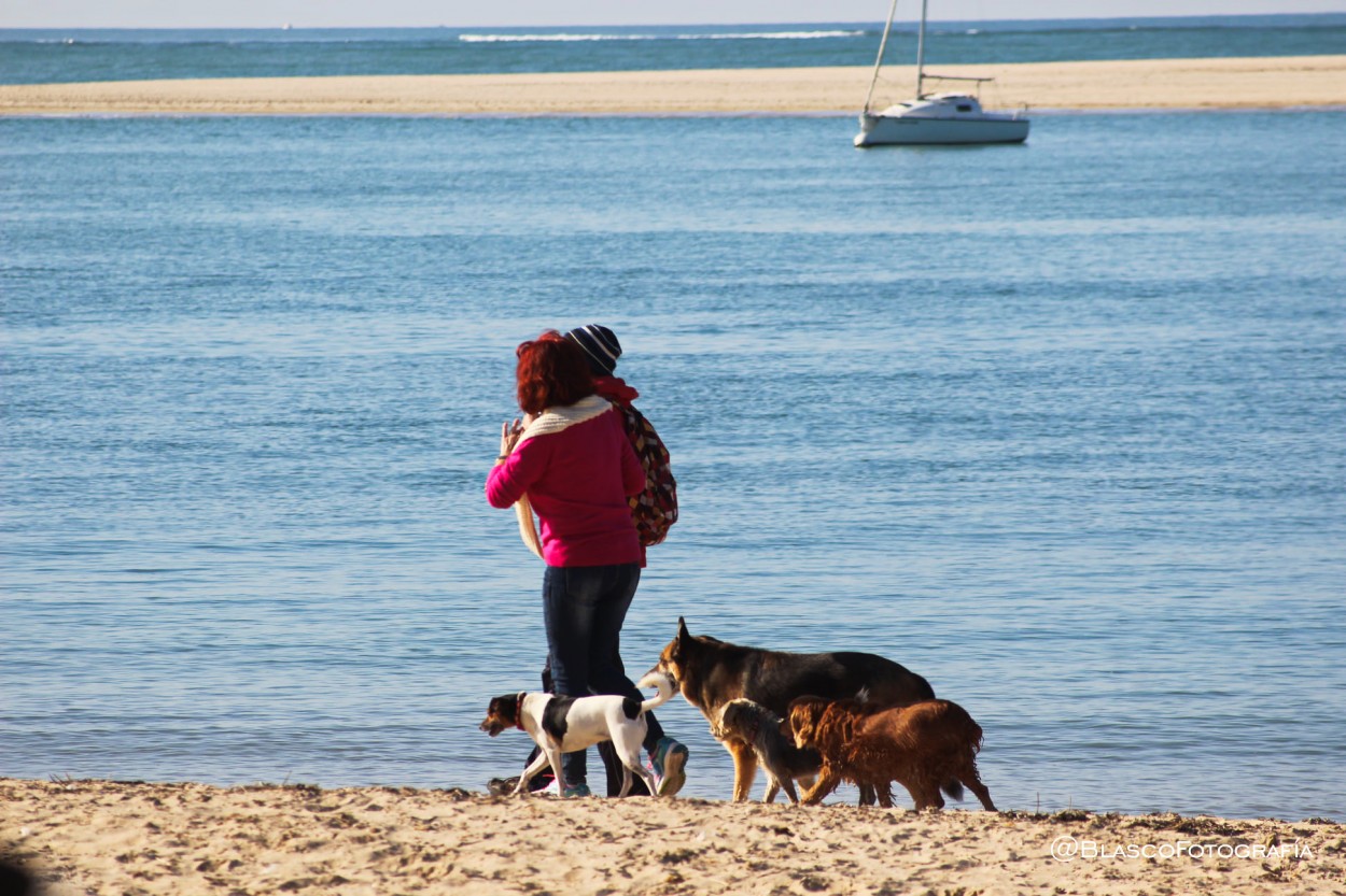 "Paseando por la playa" de Luis Blasco Martin